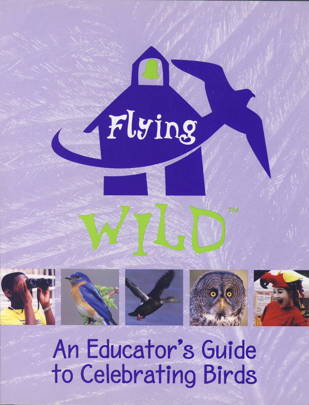 Cover of Flying Wild - An Educator's Guide to Celebrating Birds
